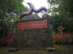 -海口火山口国家地质公园