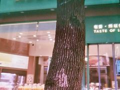 -爱达乐面包生日蛋糕(红光西华店)