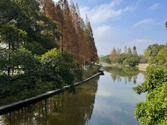 -江心屿景区