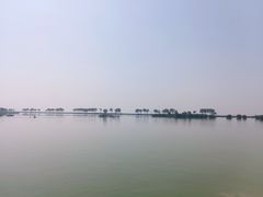 -合肥滨湖国家森林公园