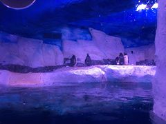 -暹罗海洋世界