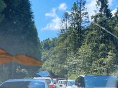 -武陵山森林公园