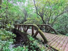 -井冈山风景名胜区