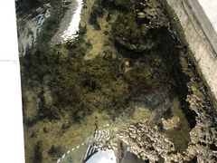 -泉乐坊步行街(烟酒特产平价超市店)