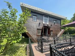 -金山农民画村-枫泾波兰倒置屋