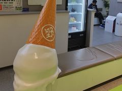 -野人先生现做冰淇淋(北京悠唐购物中心店)