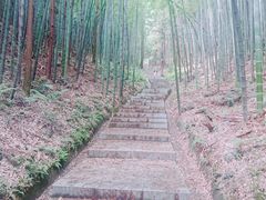 -天花井景区
