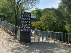 -十渡高山漂流