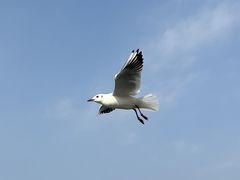 -海埂大坝