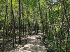 -玉渡山自然风景区