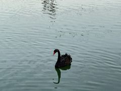 -昆山城市生态森林公园