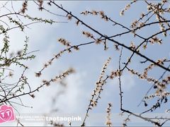 -哈尔滨师范大学(江南校区)