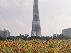 -海心沙亚运公园