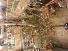 android_upload_pic-Cafe Alice咖啡爱丽丝(奥城店)