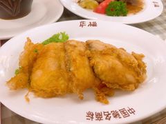 -华梅西餐厅(哈尔滨中央大街店)