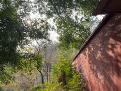 -梵天禅寺