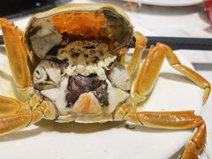 -半岛听涛蒸汽海鲜自助(K11店)