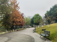 -沐仙湖湿地公园