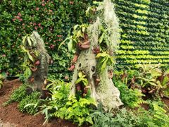 -石家庄市植物园