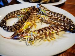 -凯华海鲜火锅·传承三十六年
