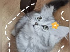 -宝鸡东道花鸟鱼虫市场(吉利花园商场店)