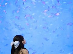 -合肥海洋世界