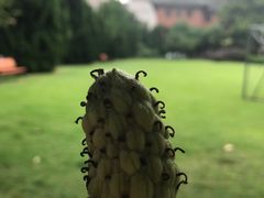 -南京钟山宾馆(江苏省会议中心)