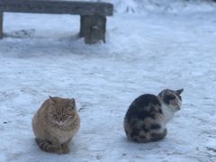 -终南山南五台景区