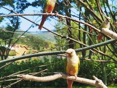-南京金牛湖风景区