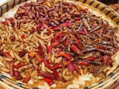 -老滇山寨•云南特色菜•地方菜•民族风情歌舞表演(金碧店)