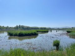 -野鸭湖国家湿地公园