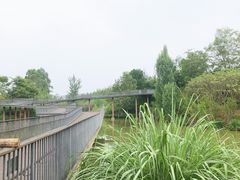 -白鹭湾湿地公园