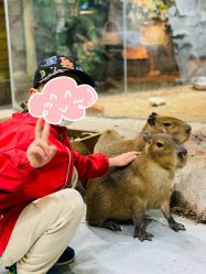 点击看大图 -Zoolung Zoolung动物主题公园(海信广场店)