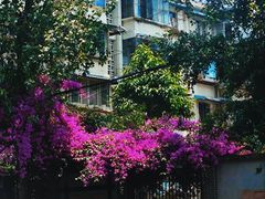 -四川大学(华西校区)