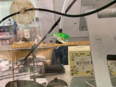 -平行世界·猫咖(首经贸店)