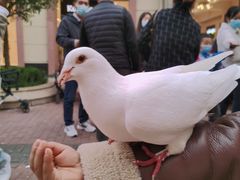 -王府井奥莱临潼小镇(临潼店)