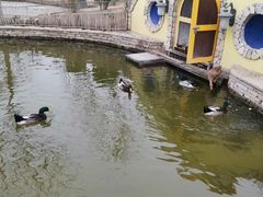 -南宫五洲植物乐园