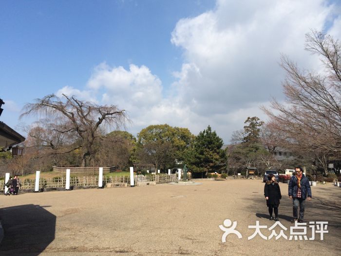 京都圆山公园图片