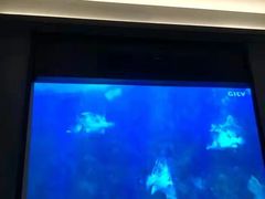 -和子足浴SPA会馆(东方之门店)