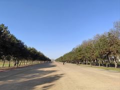 -汉长安城未央宫国家考古遗址公园