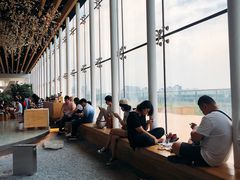 -Seesaw Coffee(朝阳大悦城店)