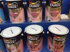 多乐士专卖-田贝建材家居广场