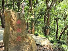 -上海佘山国家森林公园天马山园