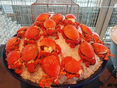 -君悦酒店·乐厨·高空自助餐(青年大街店)