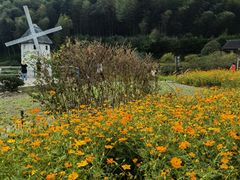 -宁波浙东大竹海景区