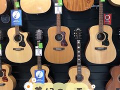 -柏斯琴行(汾阳店)