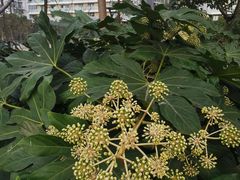 -金科路(地铁站)
