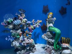 -上海海昌海洋公园