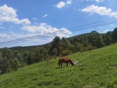 -灵山