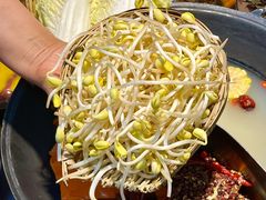 -阳阳老火锅(小南门店)